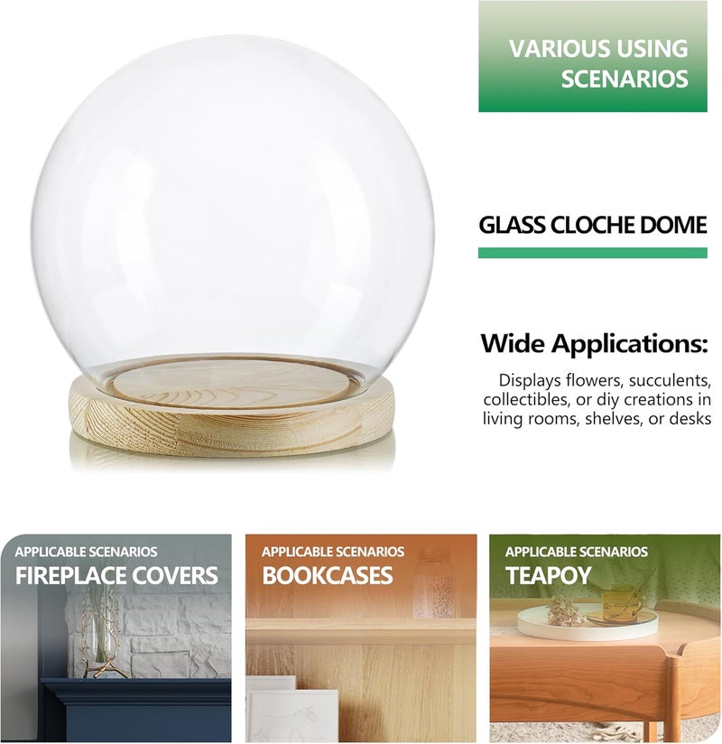 ZEERSHEE Round Glass Cloche Display Dome 6inch Decorative Glass Display Bell Jar for Plants Keepsakes Collectibles - Image 5